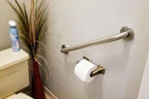 Bathroom with toilet, toilet paper holder, and plant